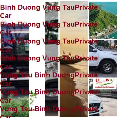 Binh Duong Vung Tau Private Car