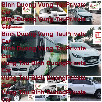 Binh Duong Vung Tau Private Car