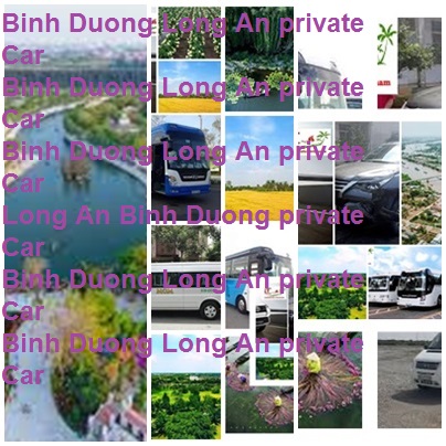 Private Car Binh Duong Vinh Long