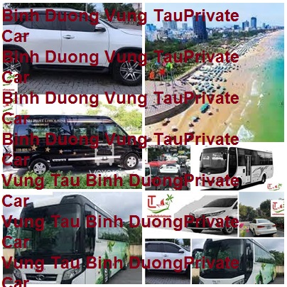 Binh Duong Vung Tau Private Car