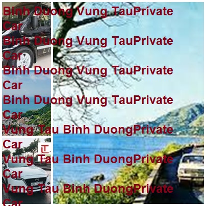 Binh Duong Vung Tau Private Car