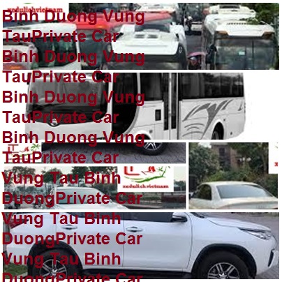 Binh Duong Vung Tau Private Car