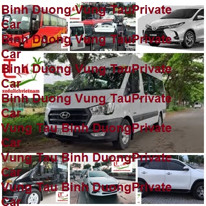 Binh Duong Vung Tau Private Car