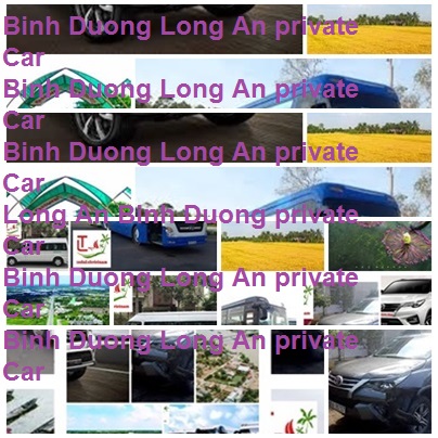 Private Car Binh Duong Vinh Long