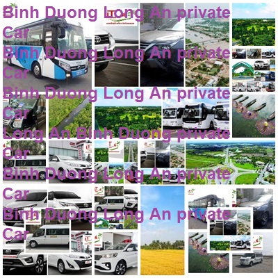 Private Car Binh Duong Vinh Long