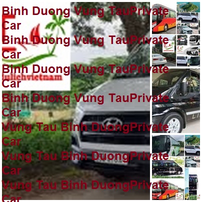 Binh Duong Vung Tau Private Car