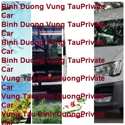 Binh Duong Vung Tau Private Car