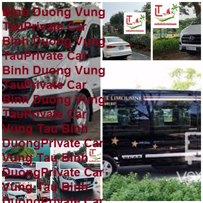 Binh Duong Vung Tau Private Car