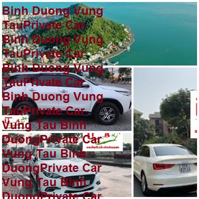 Binh Duong Vung Tau Private Car