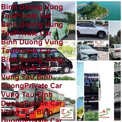 Binh Duong Vung Tau Private Car