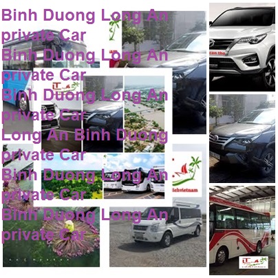 Private Car Binh Duong Vinh Long