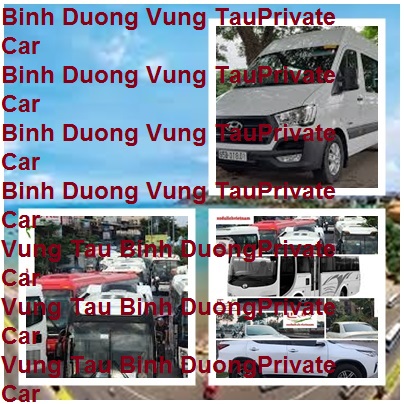 Binh Duong Vung Tau Private Car