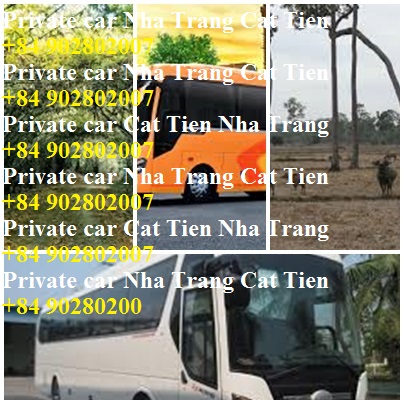 Private Car Nha Trang Cat Tien