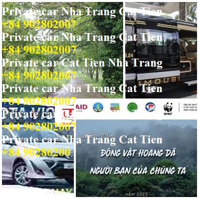 Private Car Nha Trang Cat Tien