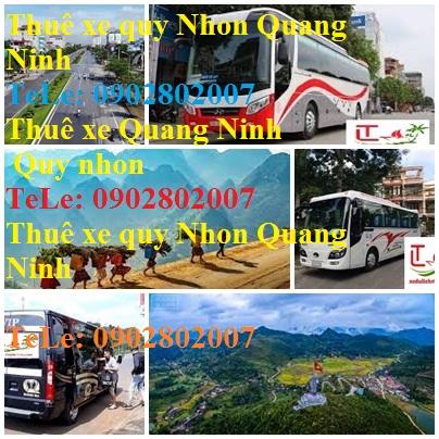 Thue Xe Quy Nhon Quang Ninh