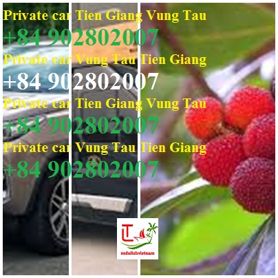 Private Car Tien Giang Vung Tau