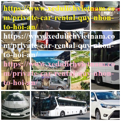 Private car Quy NHon Hoi An