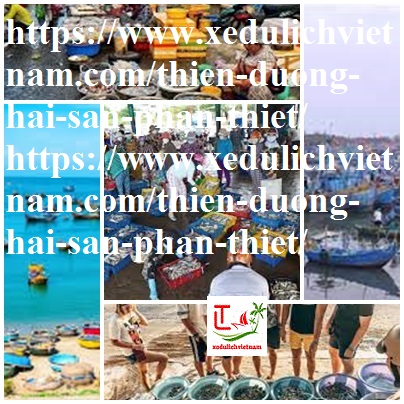 hai san phan thiet ngon