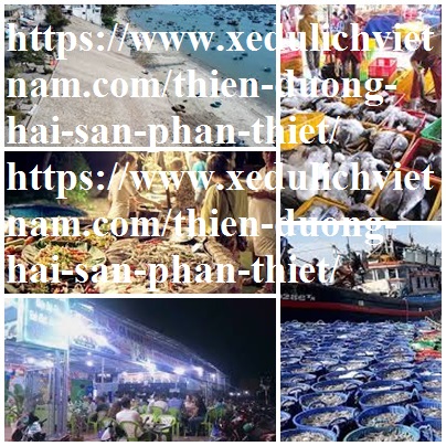 hai san phan thiet ngon