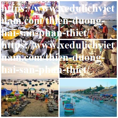 hai san phan thiet ngon