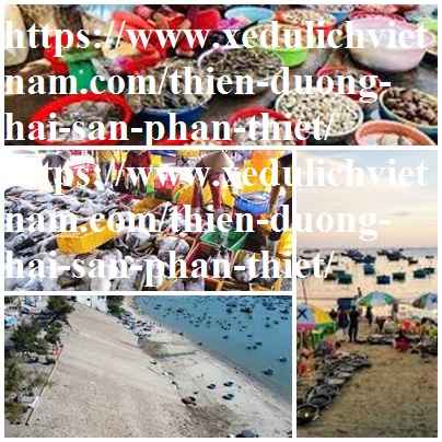 hai san phan thiet ngon