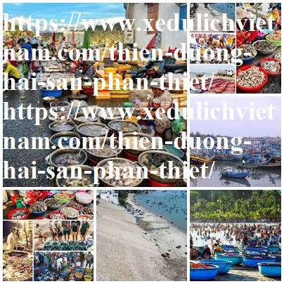 hai san phan thiet ngon