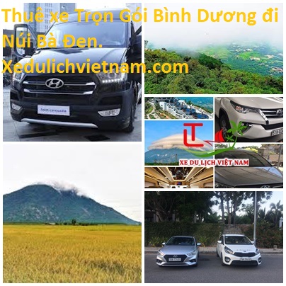 Thue Xe Binh Duong Ba Den