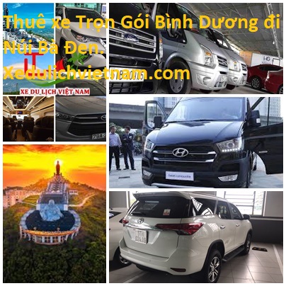 Thue Xe Binh Duong Ba Den