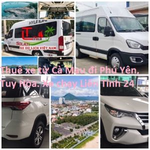 Thue Xe Ca Mau Phu Yen